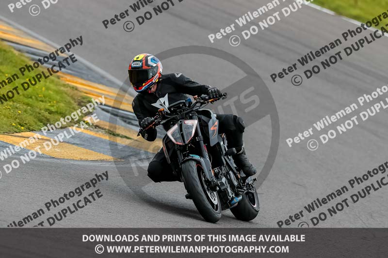 PJ Motorsport 2019;anglesey no limits trackday;anglesey photographs;anglesey trackday photographs;enduro digital images;event digital images;eventdigitalimages;no limits trackdays;peter wileman photography;racing digital images;trac mon;trackday digital images;trackday photos;ty croes